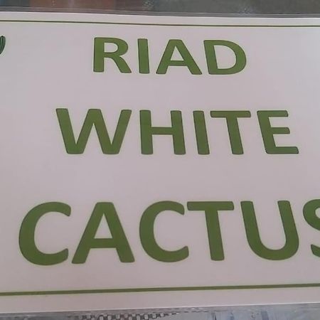 Riad White Cactus Marrákes Kültér fotó